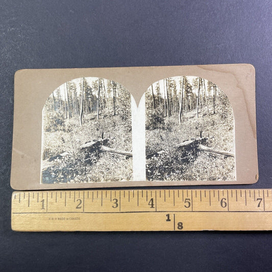 Copper Mountain Colorado Mining Site Mine Stereoview Antique c1870s X3753
