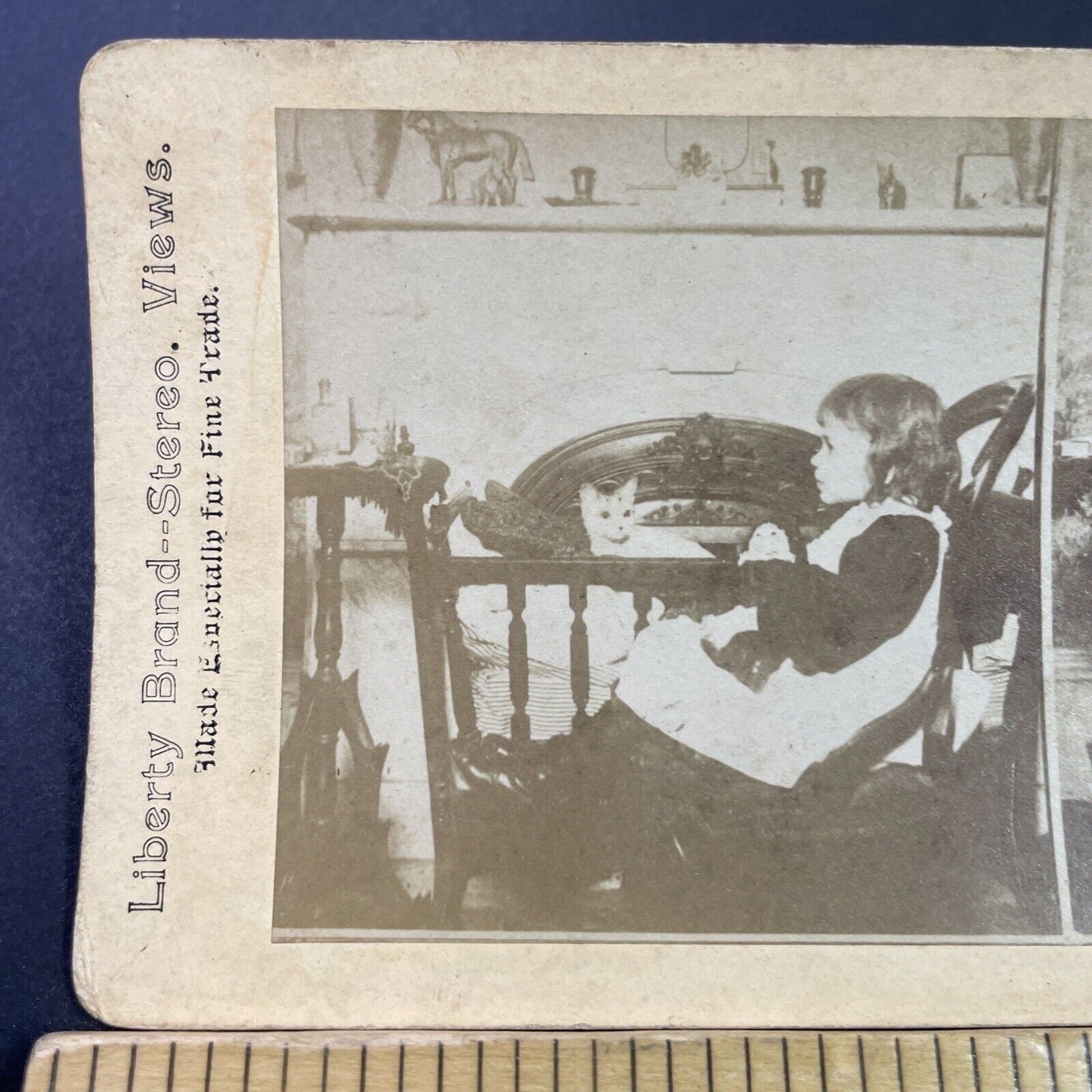 Antique 1880s Child Plays With Her Kitten Cat Stereoview Photo Card P3447