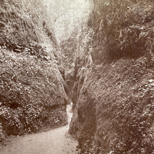 Antique 1860s Dragon Gorge Drachenschlucht Eisenach Stereoview Photo Card P1424