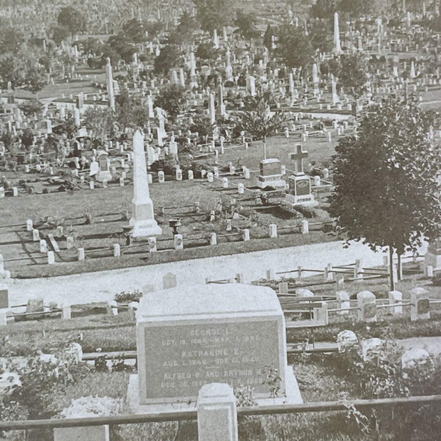 Henry Ward Beecher Grave Stereoview Green-Wood Cemetery NY Antique c1887 X3246