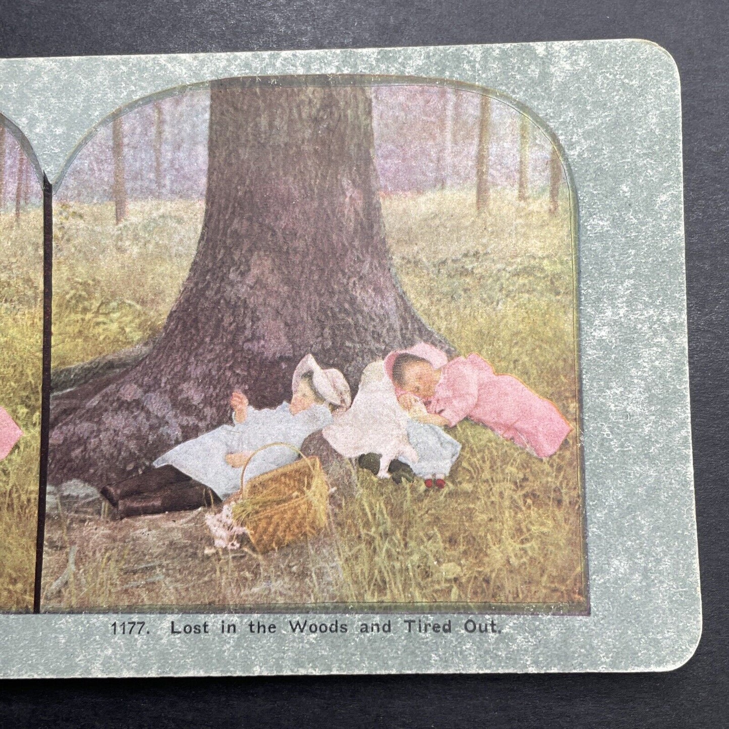 Antique 1898 Children Sleeping In The Woods Stereoview Photo Card P1217