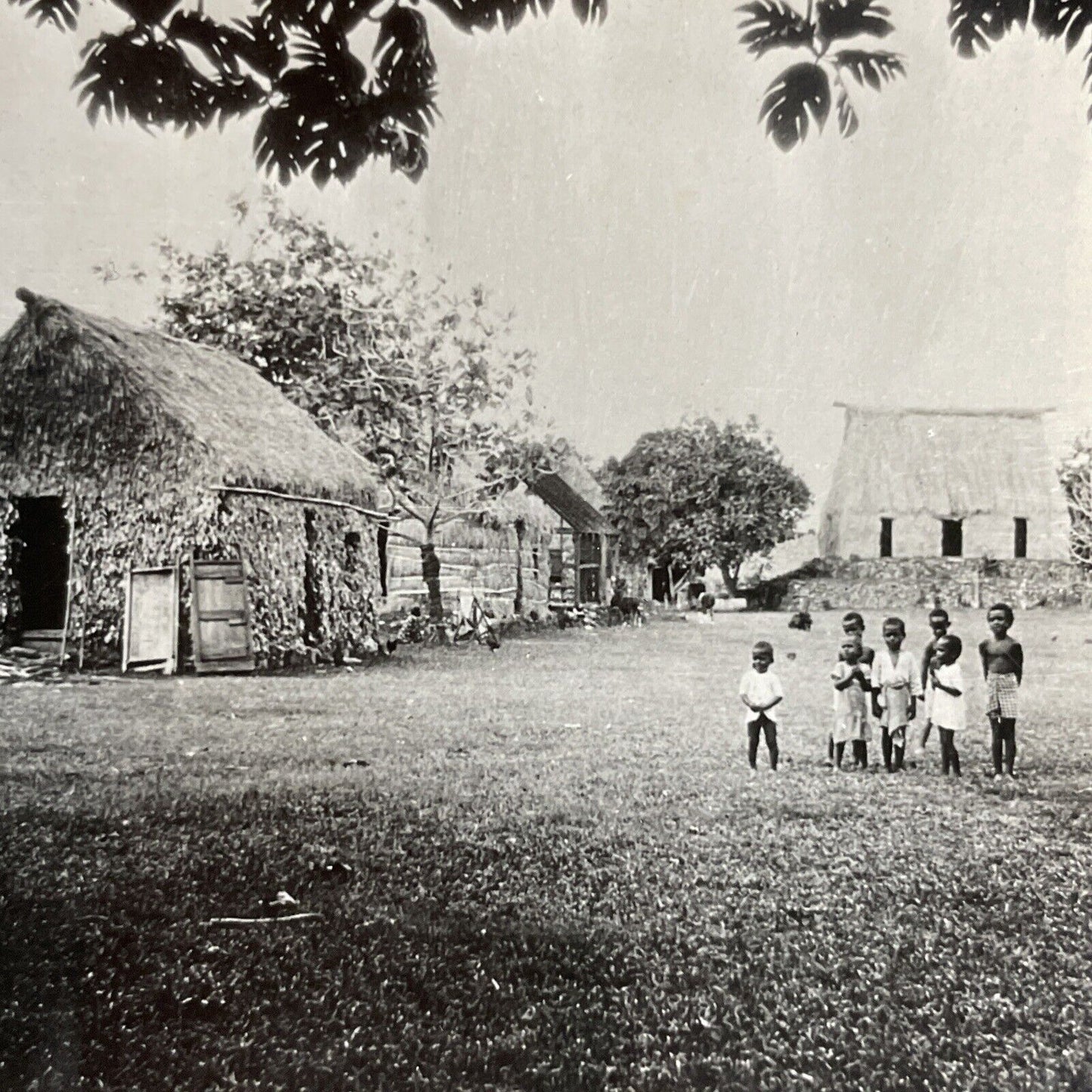 Antique 1910s Fiji Native Tribe In Grass Huts Fijian Stereoview Photo Card P4218