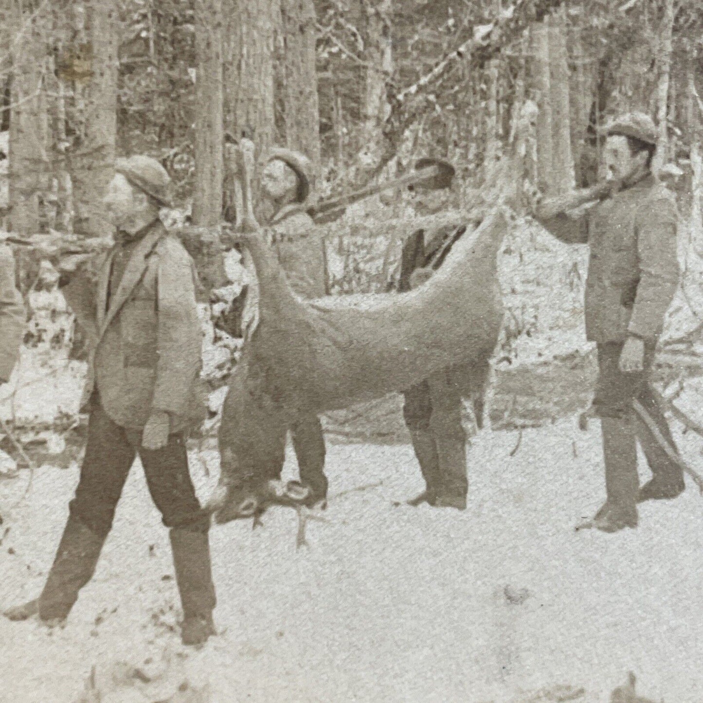 Antique 1888 Men Carry Large Buck Deer Hunting Hunt Stereoview Photo Card P3511
