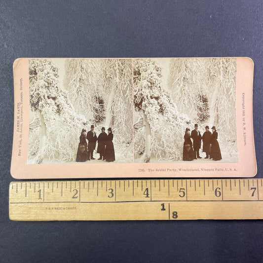 Tourists Visit Frozen Niagara Park for a Wedding Stereoview Antique c1893 Y1861