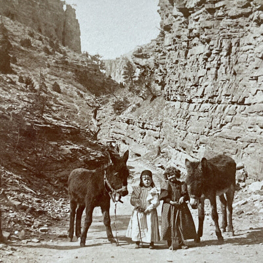 Antique 1894 Exploring Williams Canyon Colorado Stereoview Photo Card V3280