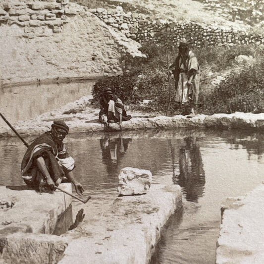 Antique 1899 Elishas Spring Jericho Israel Palestine Stereoview Photo Card P1384