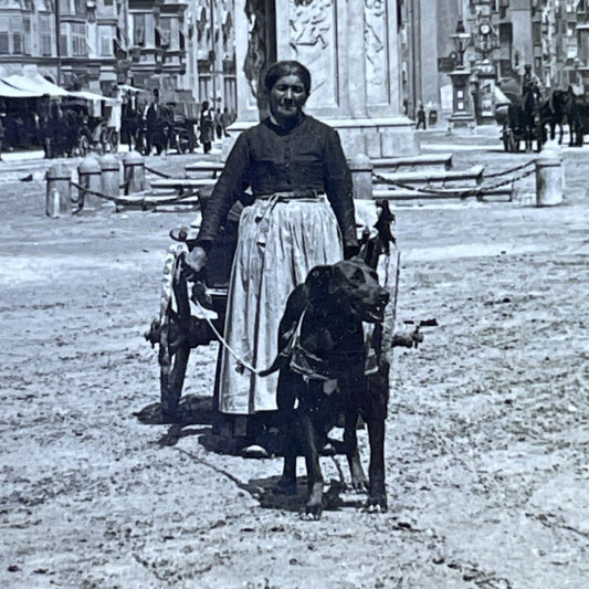 Antique 1910s Woman With Dog Cart Innsbruck Austria Stereoview Photo Card P2733