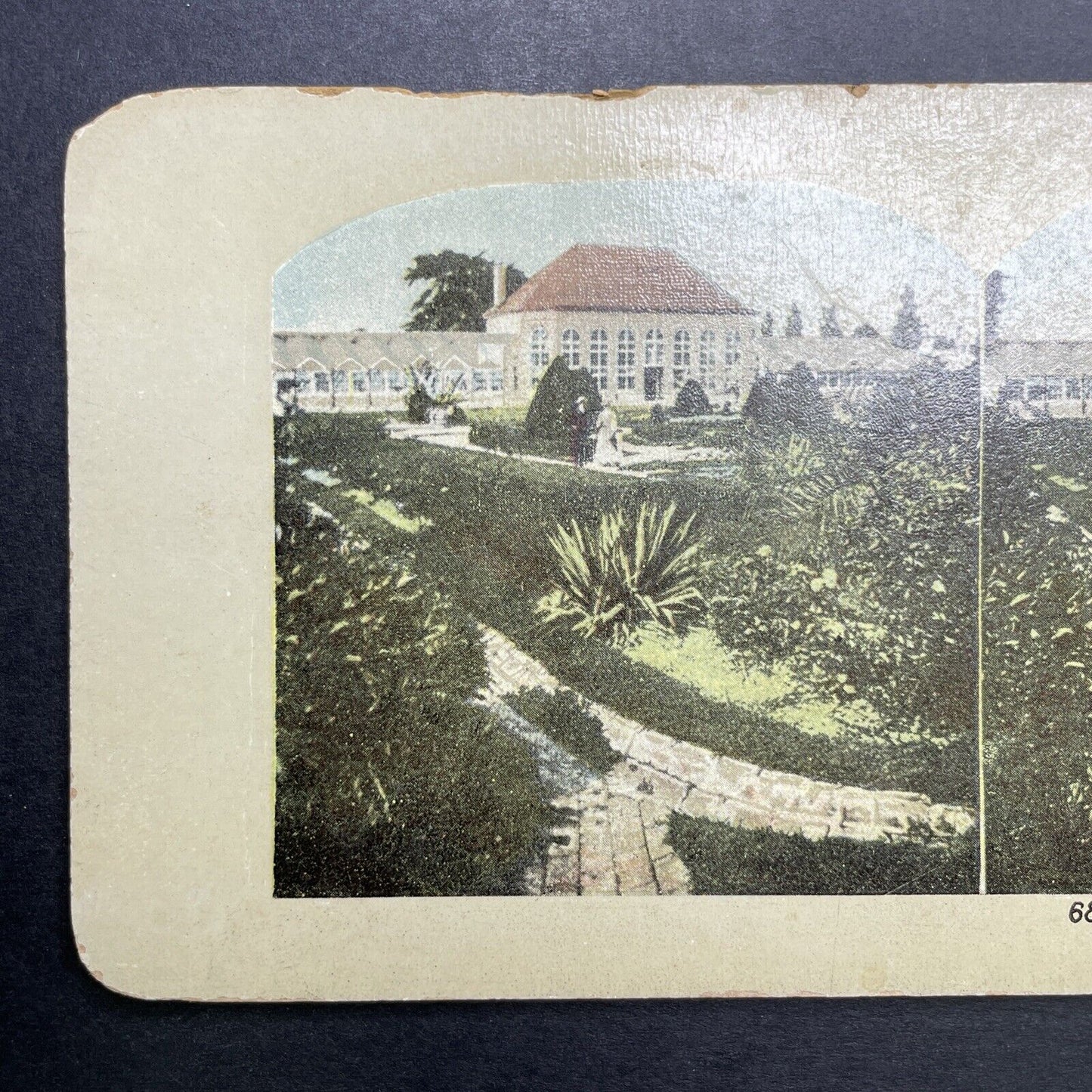 Antique 1904 Botanical Gardens In St. Louis Missouri Stereoview Photo Card P1213