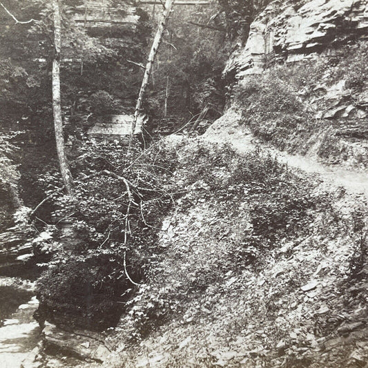 Antique 1860s Watkins Glen Before The Boardwalk NY Stereoview Photo Card V1916