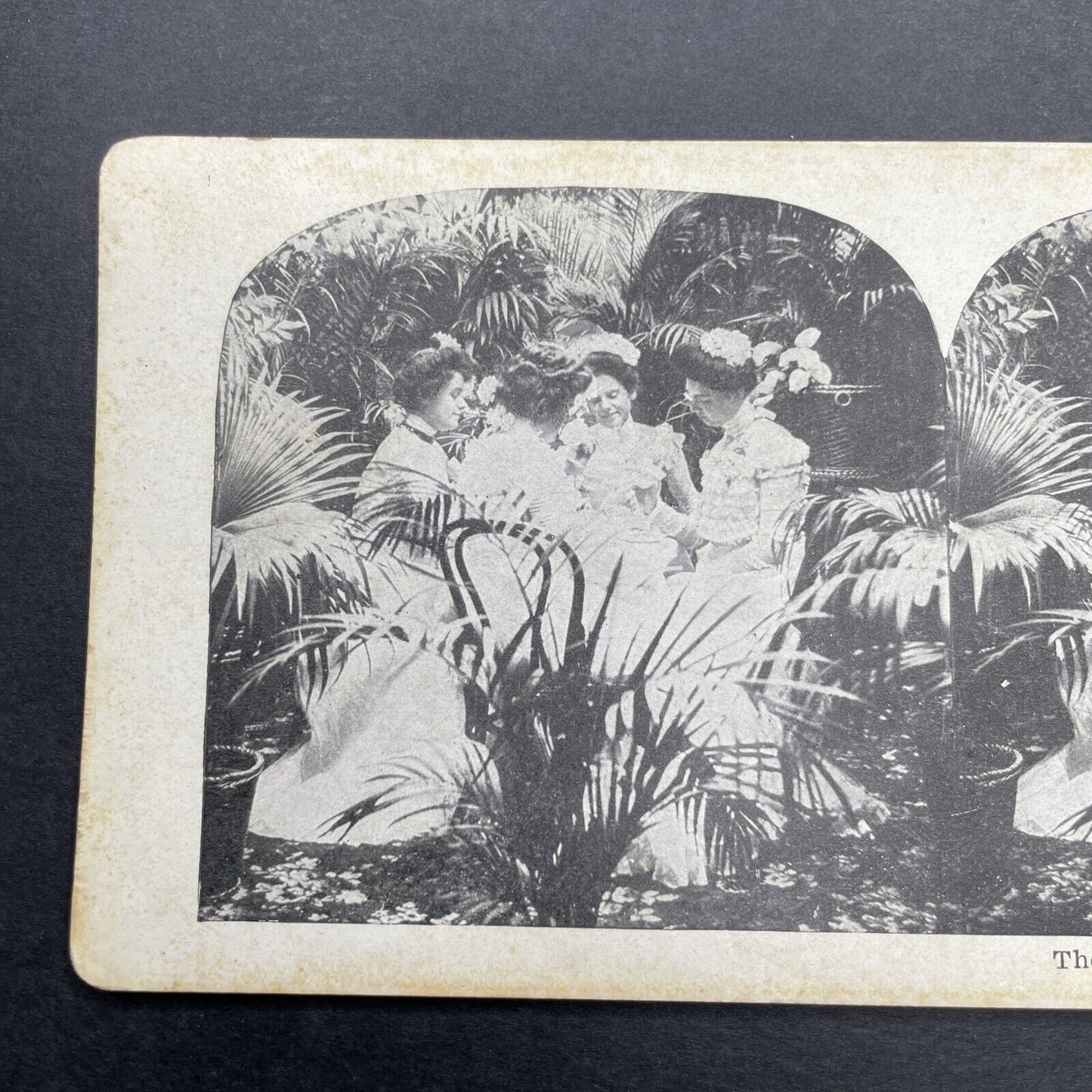 Antique 1905 Bridesmaids Having Tea Wedding Stereoview Photo Card P580-030