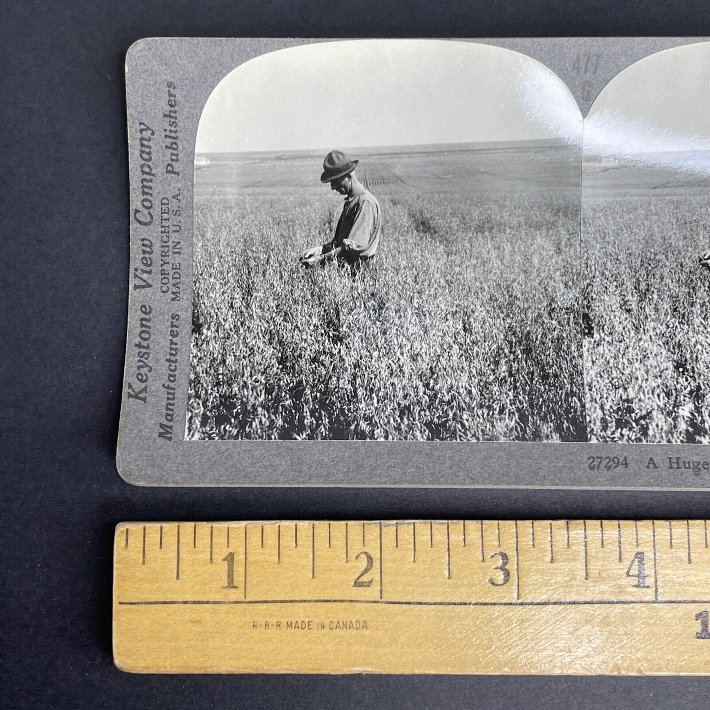 Antique 1904 Oat Farm In Saskatchewan Canada Stereoview Photo Card PC869