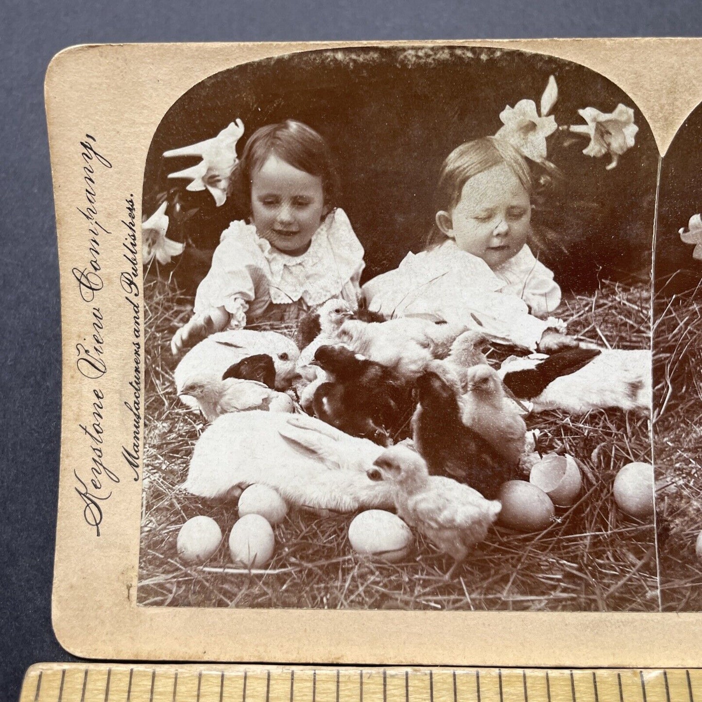 Antique 1899 Children Play With Easter Eggs, Bunnies Stereoview Photo Card P2605