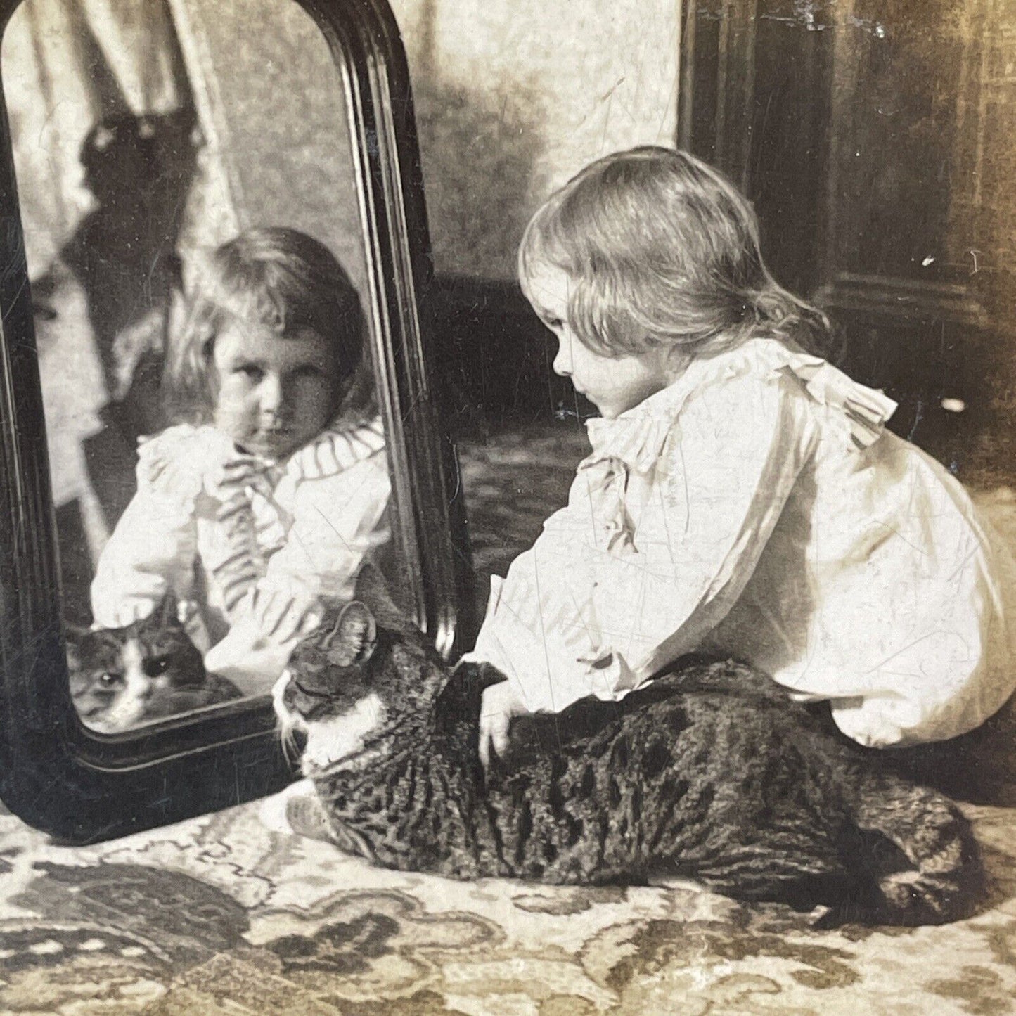 Child With A Large Cat In Mirror Stereoview Antique c1896 X2585