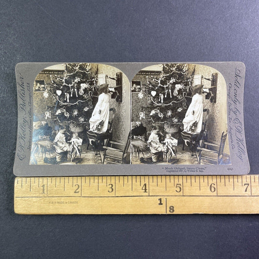 Early Photo Of A Christmas Tree Stereoview William H Rau Antique c1897 X1839