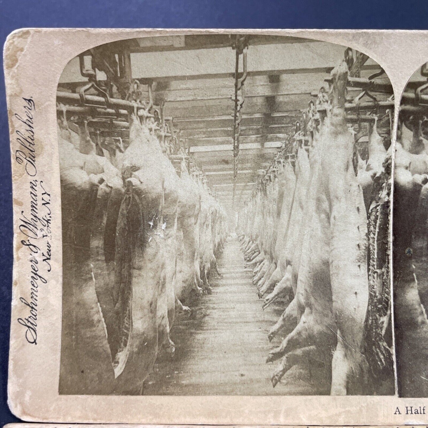 Antique 1893 Armour Meats Chicago Illinois Stereoview Photo Card P3870