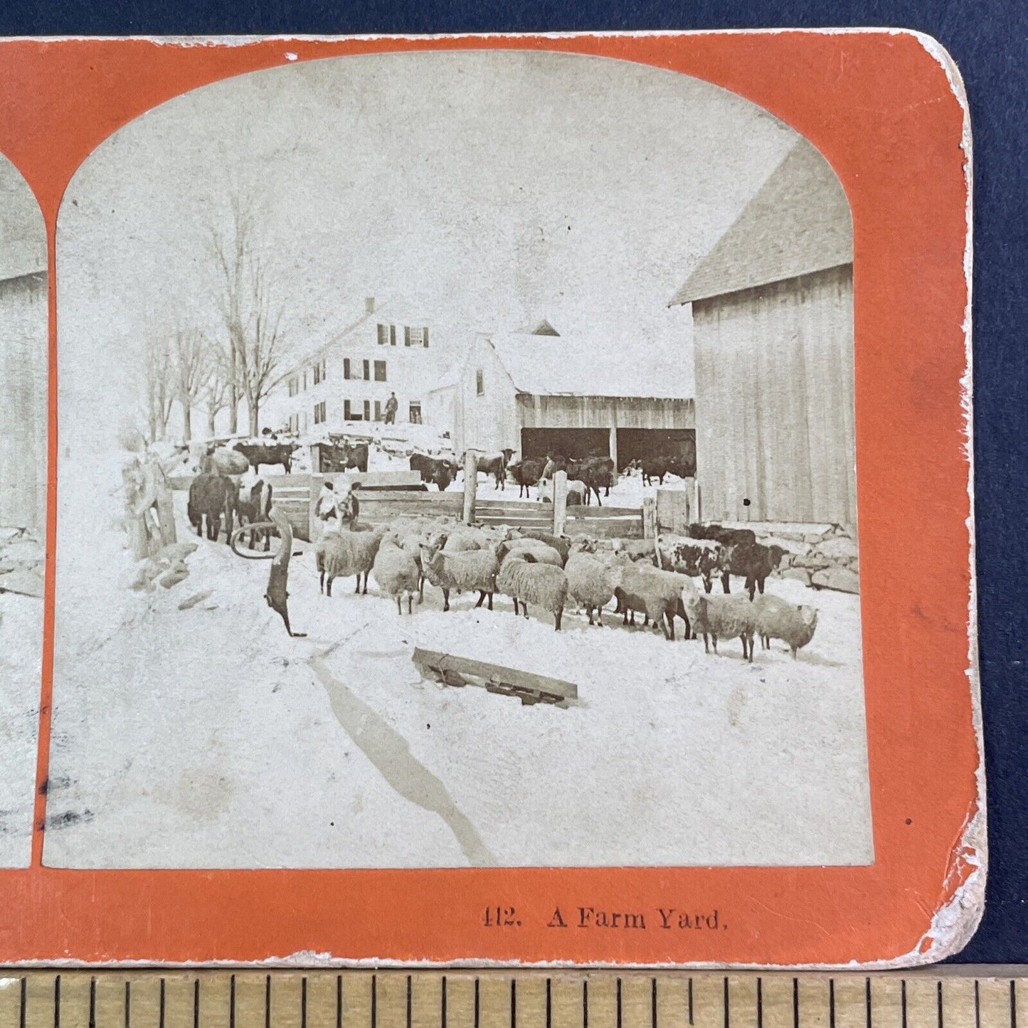 Sheep Farm Near Littleton New Hampshire Stereoview B Kilburn Antique c1869 X1843