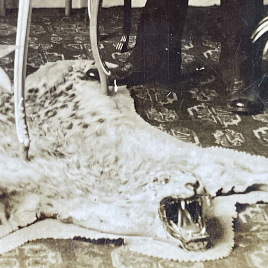 Antique 1902 Cheetah Skin Rug In Parlor Stereoview Photo Card P2908