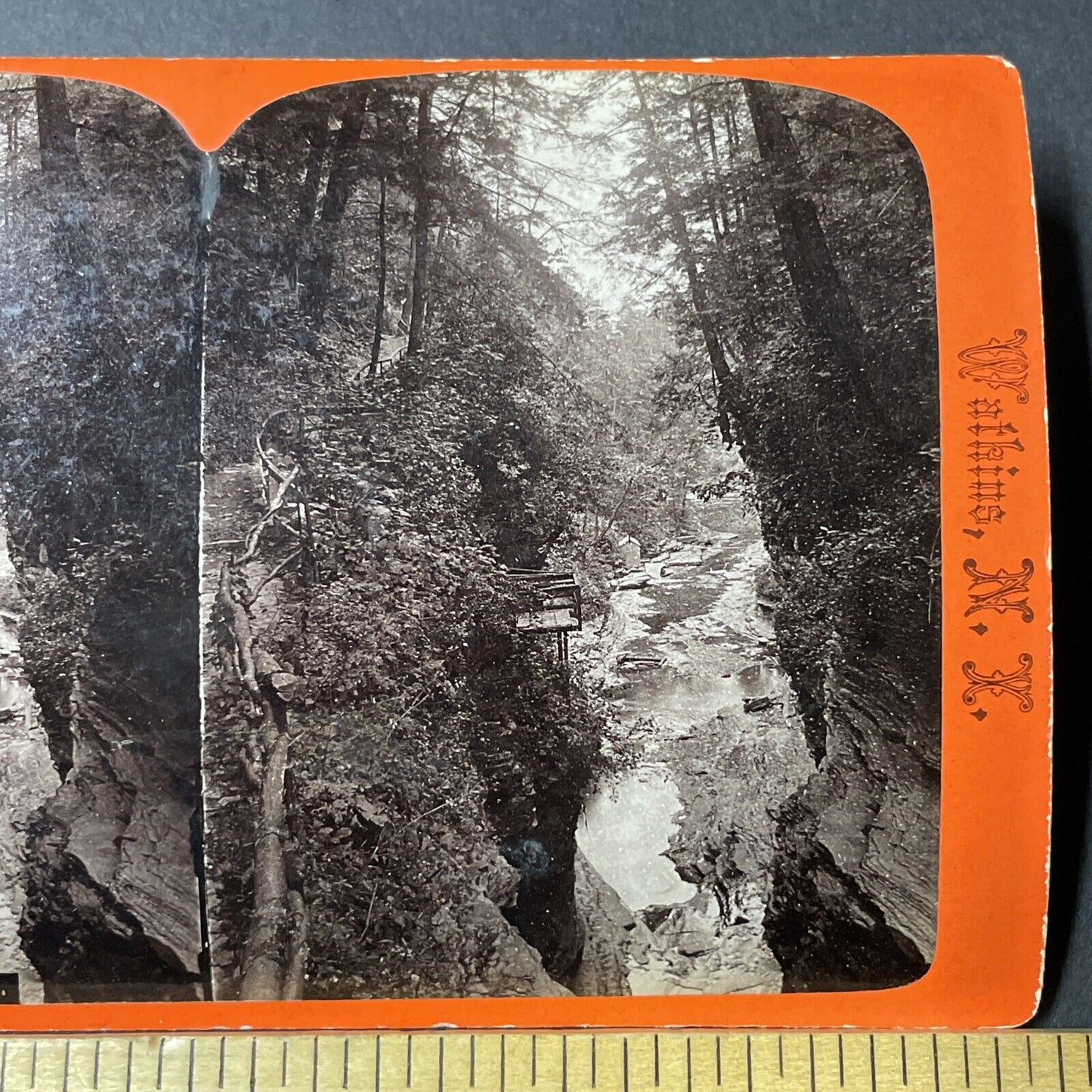 Antique 1860s Watkin's Glen Gorge Ravine New York Stereoview Photo Card V1799
