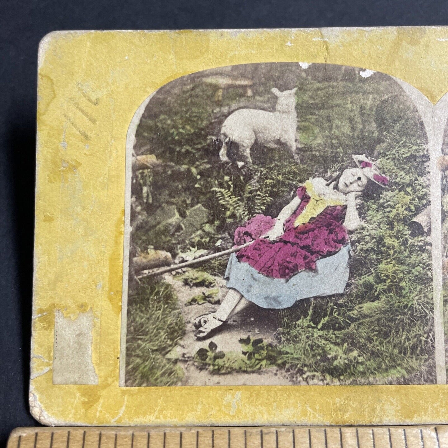 Antique 1860s Child Falls Asleep Looking For Lamb Stereoview Photo Card P4719