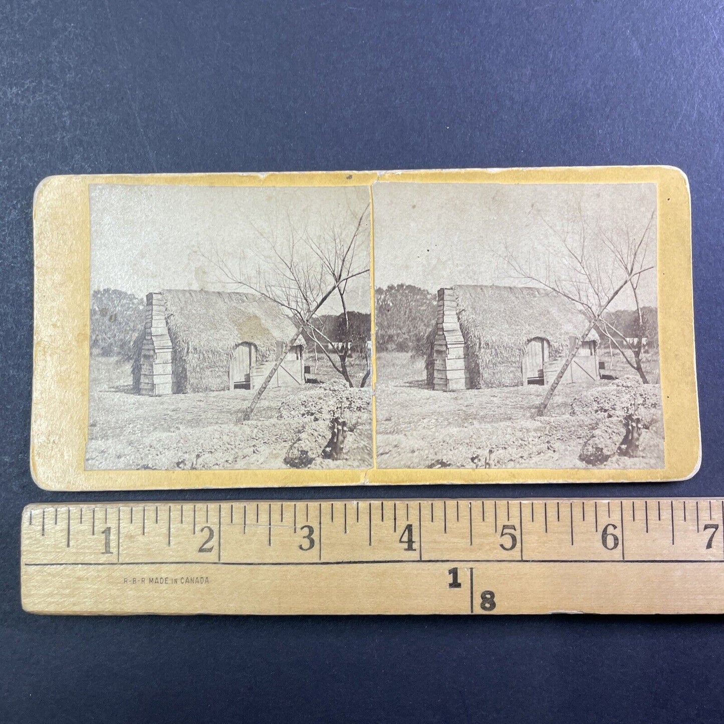 Primus Mitchell Thatched Cabin Stereoview Cumberland Island Georgia c1860 Y049