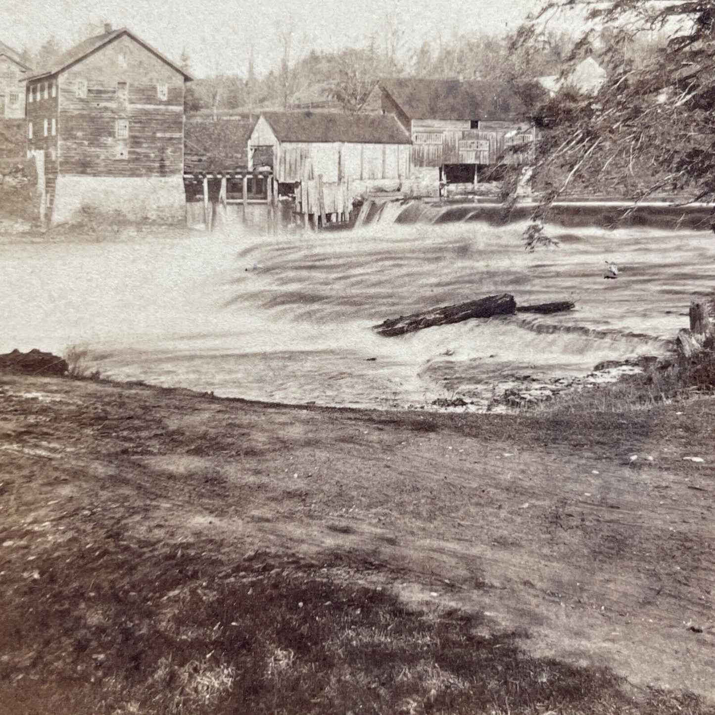 Antique 1870s Trenton New York Waterfalls Stereoview Photo Card P2526