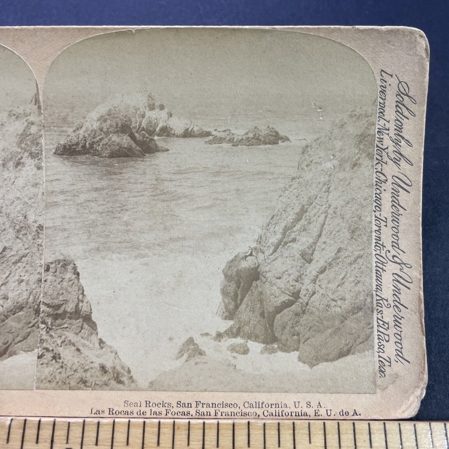 Antique 1892 Seal Rocks San Francisco California Stereoview Photo Card P3571