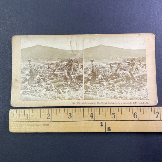 The Great Avalanche Disaster Stereoview Jefferson New Hampshire c1885 Y902