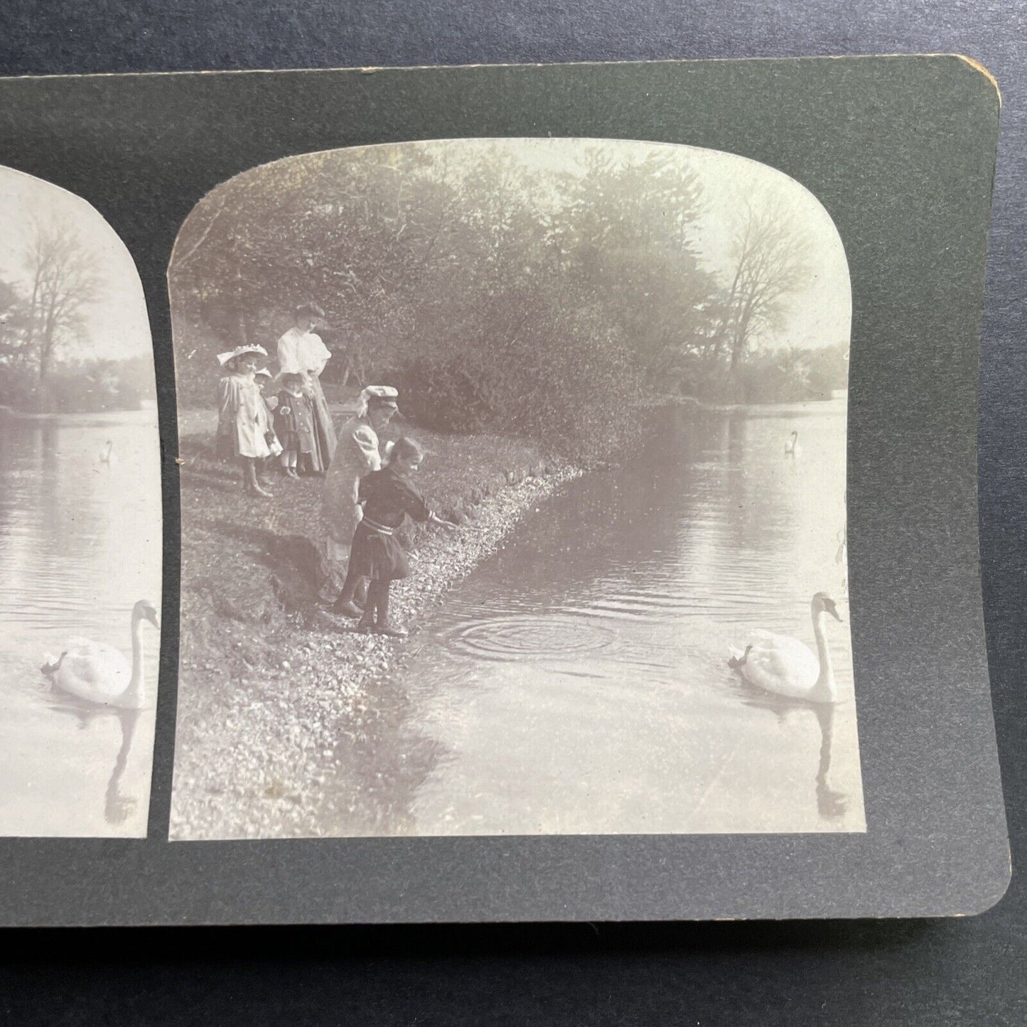 Antique 1909 Jamaica Pond Boston Massachusetts Stereoview Photo Card P1440