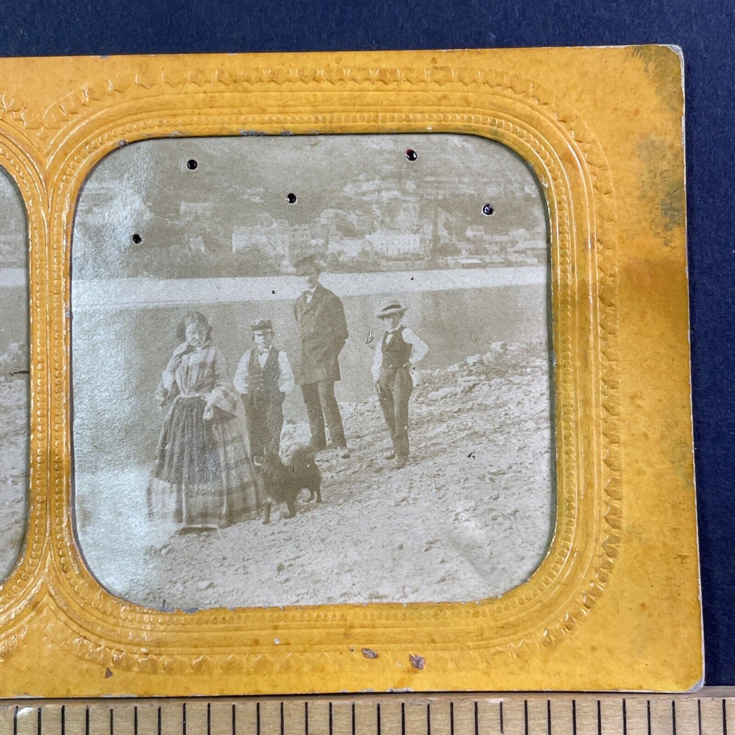 Family Plays Fetch With Dog Stereoview French Tissue Antique c1850s XT2114