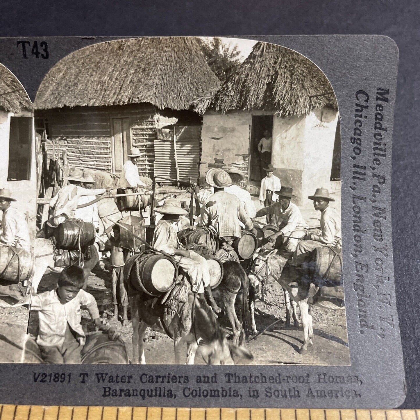 Antique 1910s Donkeys Hauling Water In Colombia Stereoview Photo Card P4499