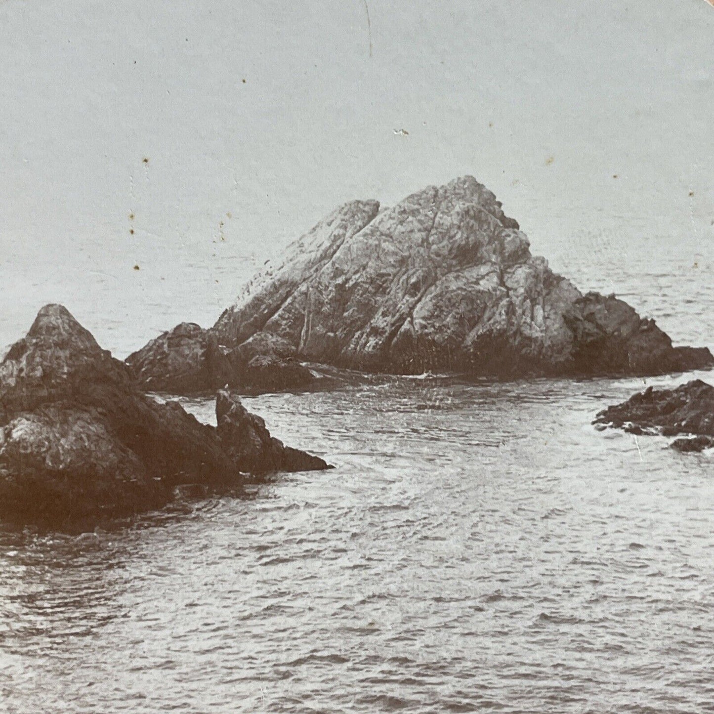 Antique 1870s Seal Rocks San Francisco California Stereoview Photo Card P3580