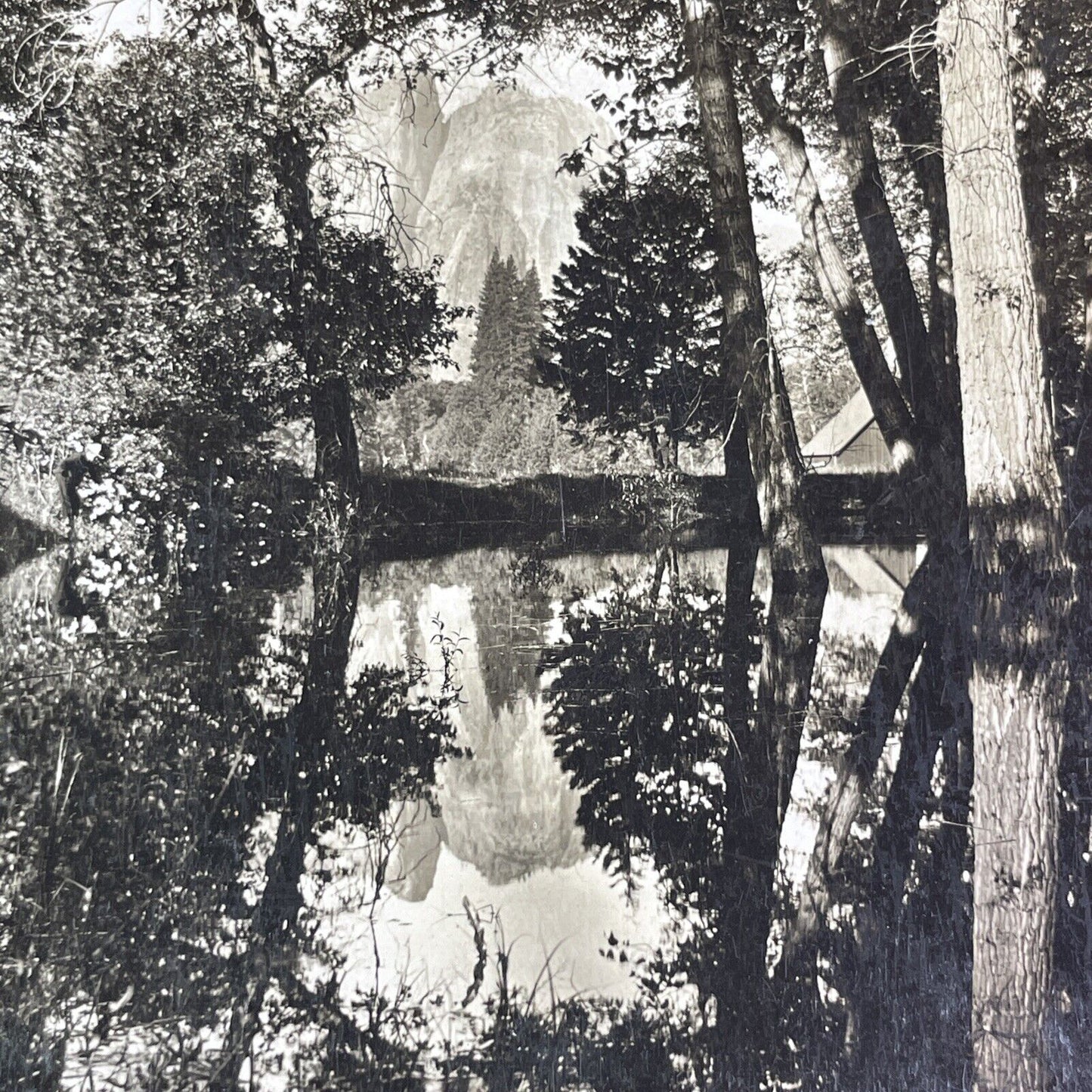 Cathedral Rocks Yosemite Valley California Stereoview H.C. White c1905 Y1156