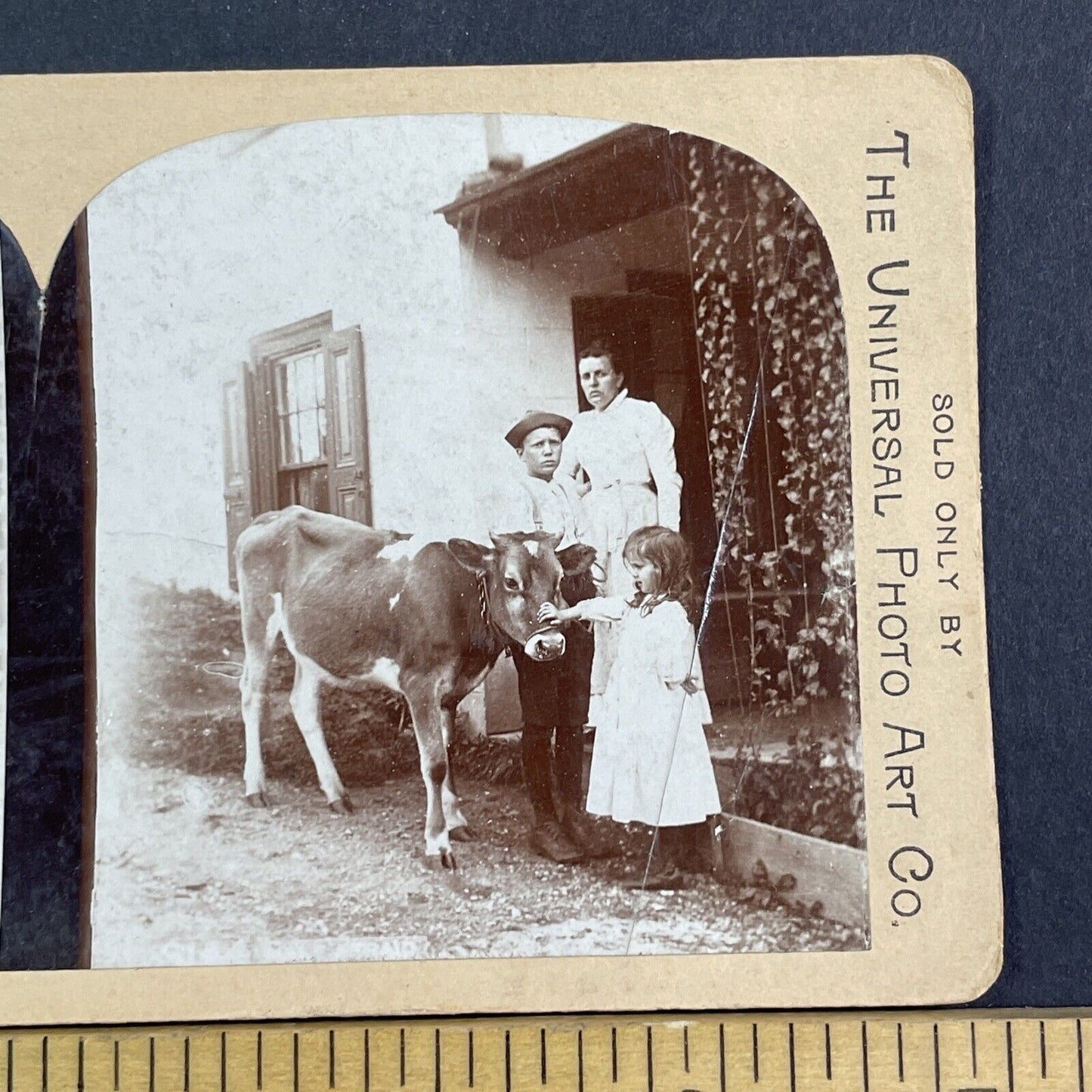 CH Graves Promotional Card Stereoview Universal Photo Art Co Antique c1899 X3181