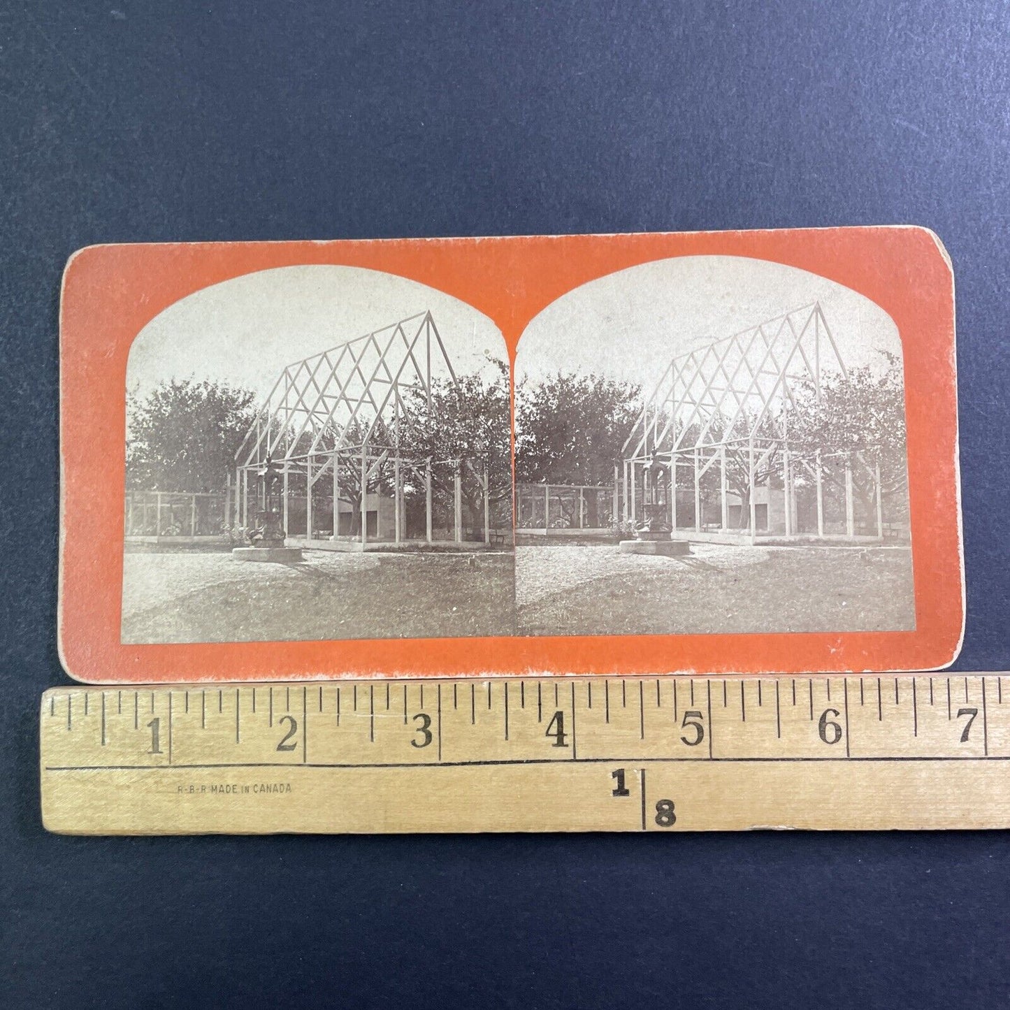 Building A Greenhouse Around A Rare Tree Stereoview Antique c1865 X1623