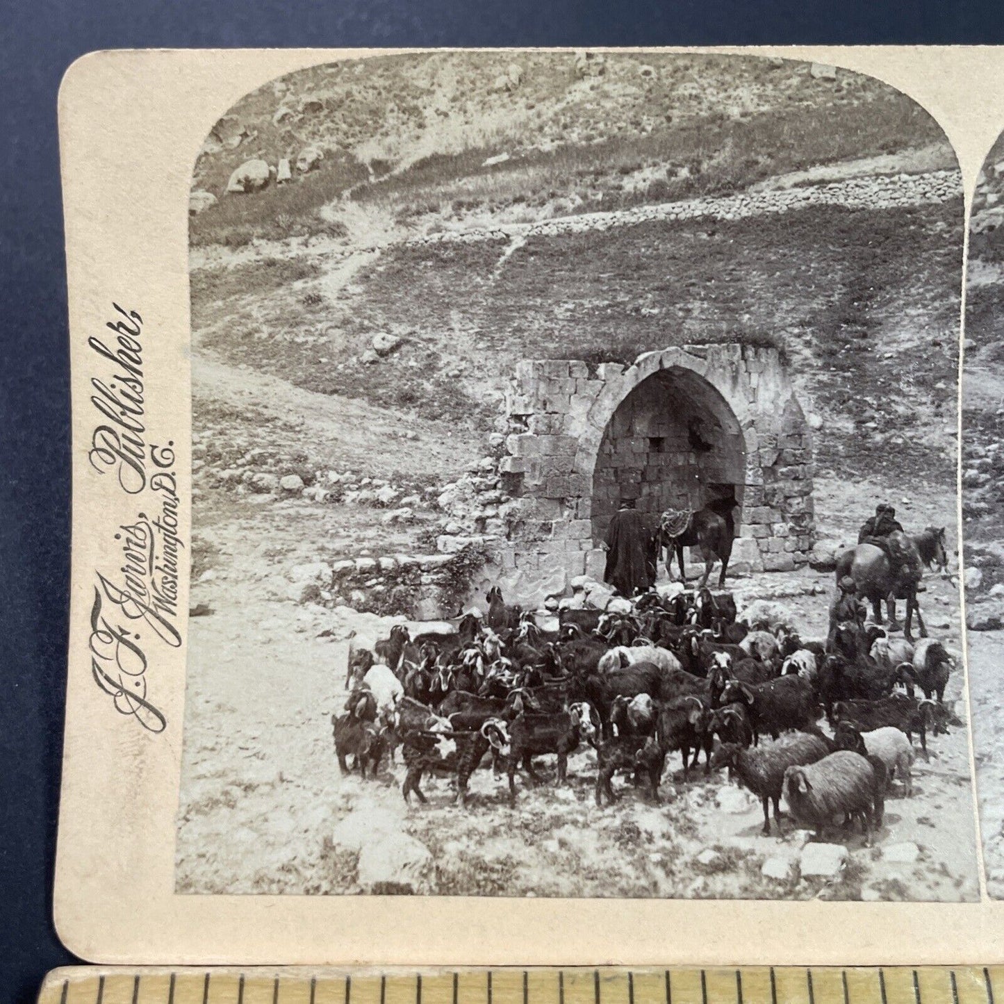 Antique 1896 Fountain Of The Apostles Jericho Israel Stereoview Photo Card P3889