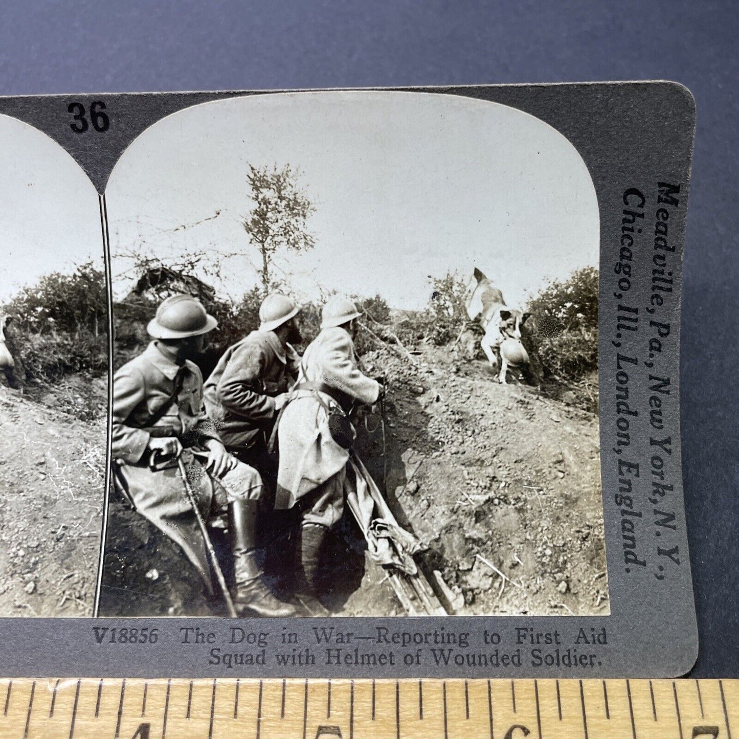 Antique 1917 French First Aid Dog Assists Soldiers Stereoview Photo Card P2788