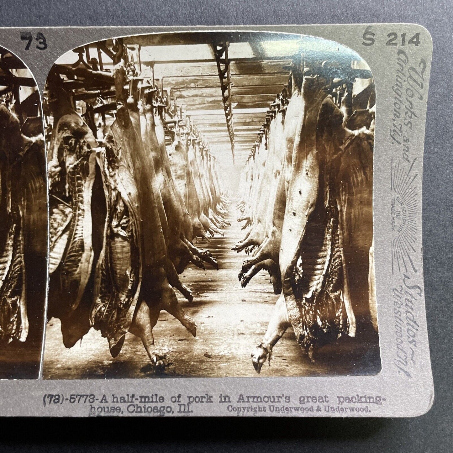 Antique 1906 Armour & Company Meat Packing Plant Stereoview Photo Card P1696