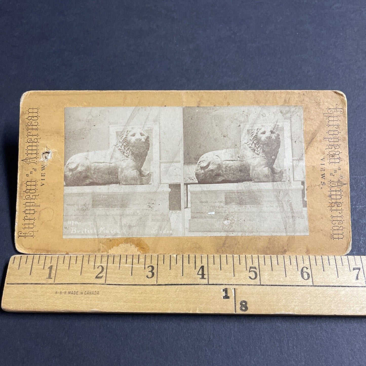 Antique 1870s Lion Of Knidos British Museum London Stereoview Photo Card P4539