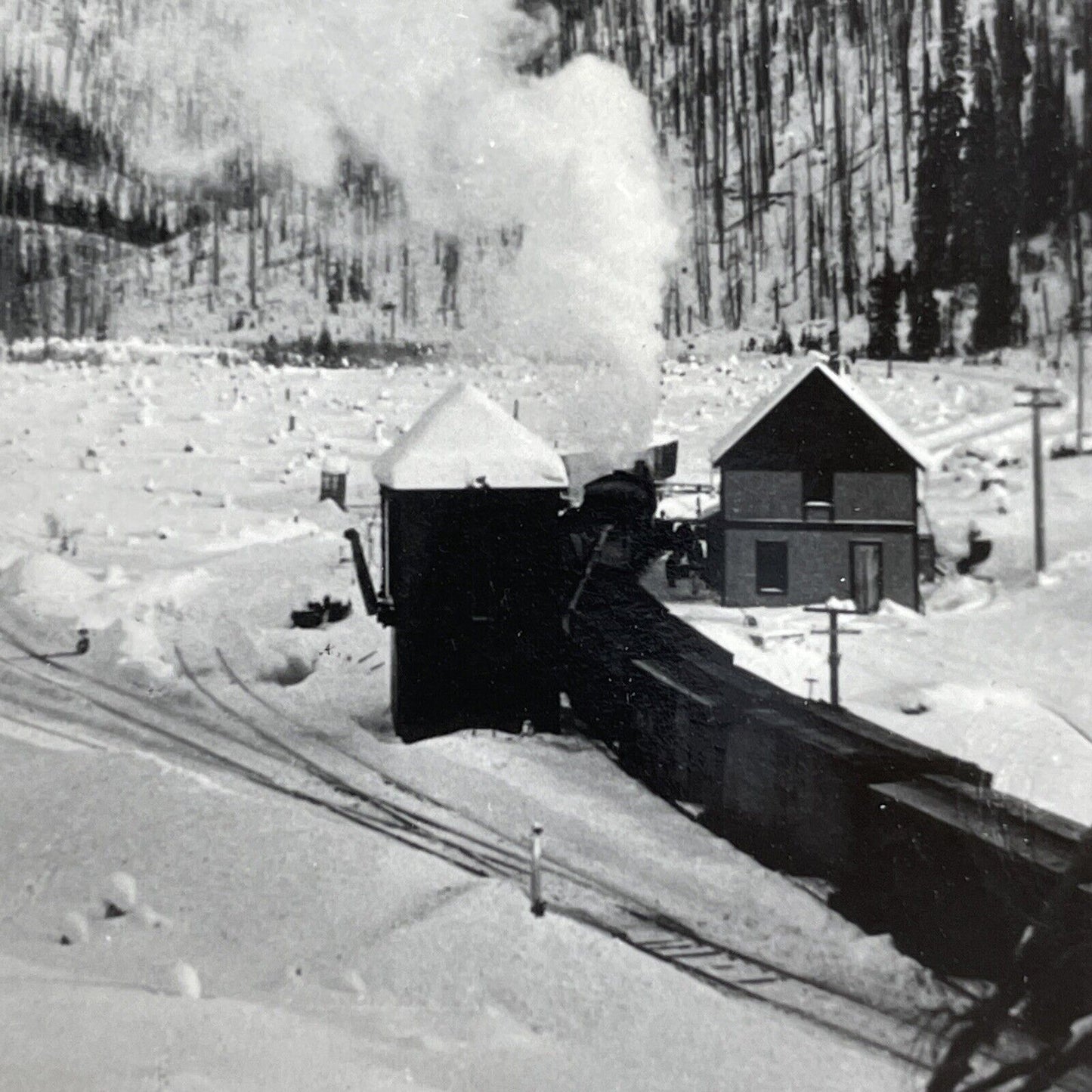 Antique 1905 Train Rail Pass Selkirk Mountains BC Stereoview Photo Card P888