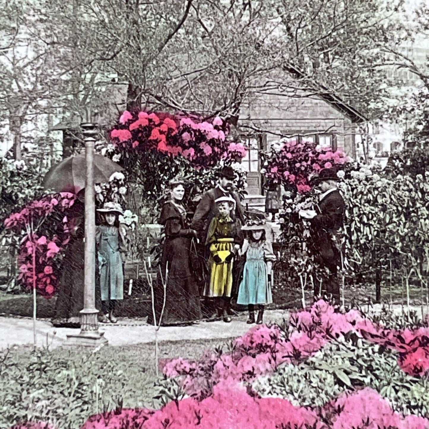 Wooded Island Chicago Illinois Stereoview Jackson Park Antique c1893 X3135