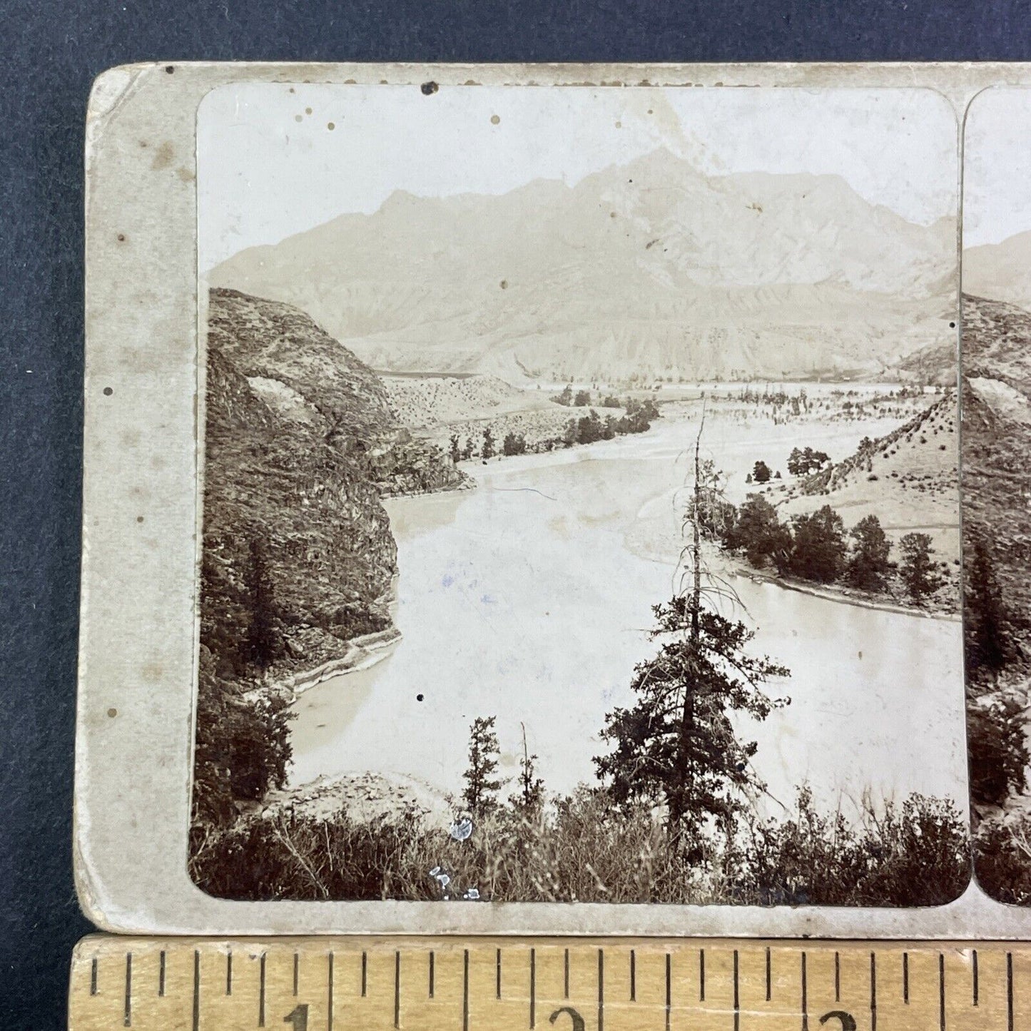 Katun River Valley Altai Russia Stereoview IR Tomashkevich Antique c1896 X2628