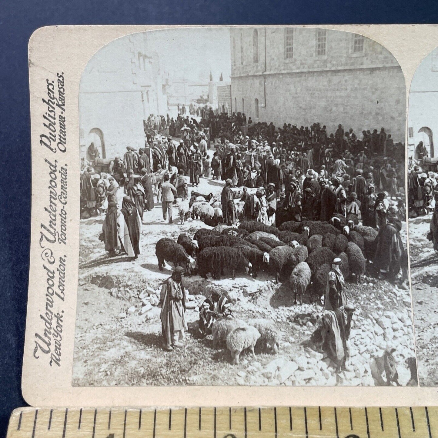 Antique 1880s Sheep Farmers Near Nazareth Israel Stereoview Photo Card P3772