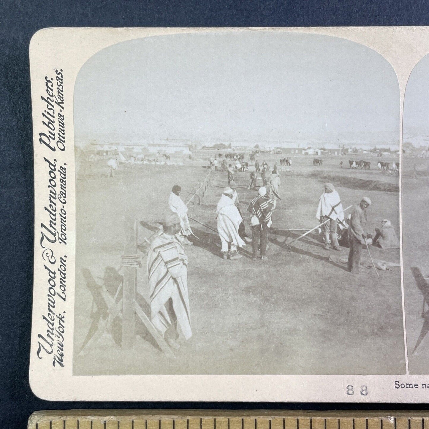 South Africa Men Prepare The Cavalry Stereoview Boer War Bloemfontein c1901 Y162