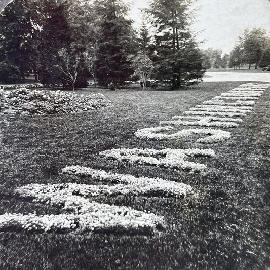 Antique 1906 Washington Park Chicago Illinois Stereoview Photo Card P2454