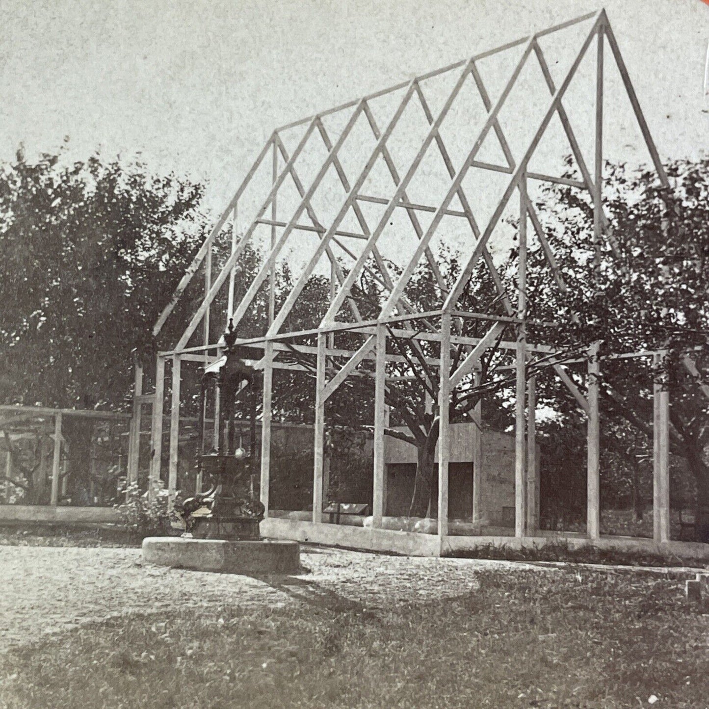 Building A Greenhouse Around A Rare Tree Stereoview Antique c1865 X1623