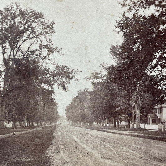 Antique 1870s Main Street In Keene New Hampshire Stereoview Photo Card V1753