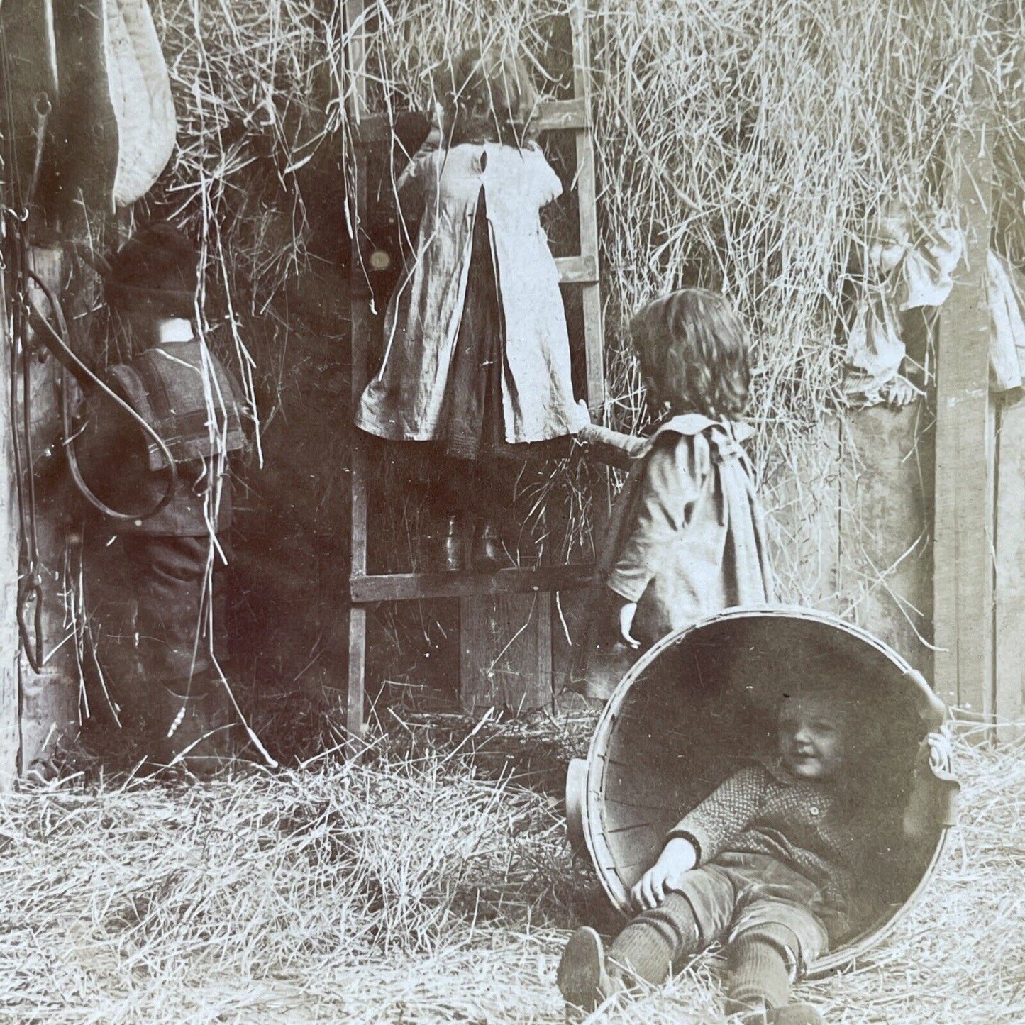 Antique 1901 Hide-And-Seek In A Barnyard Stereoview Photo Card P2607