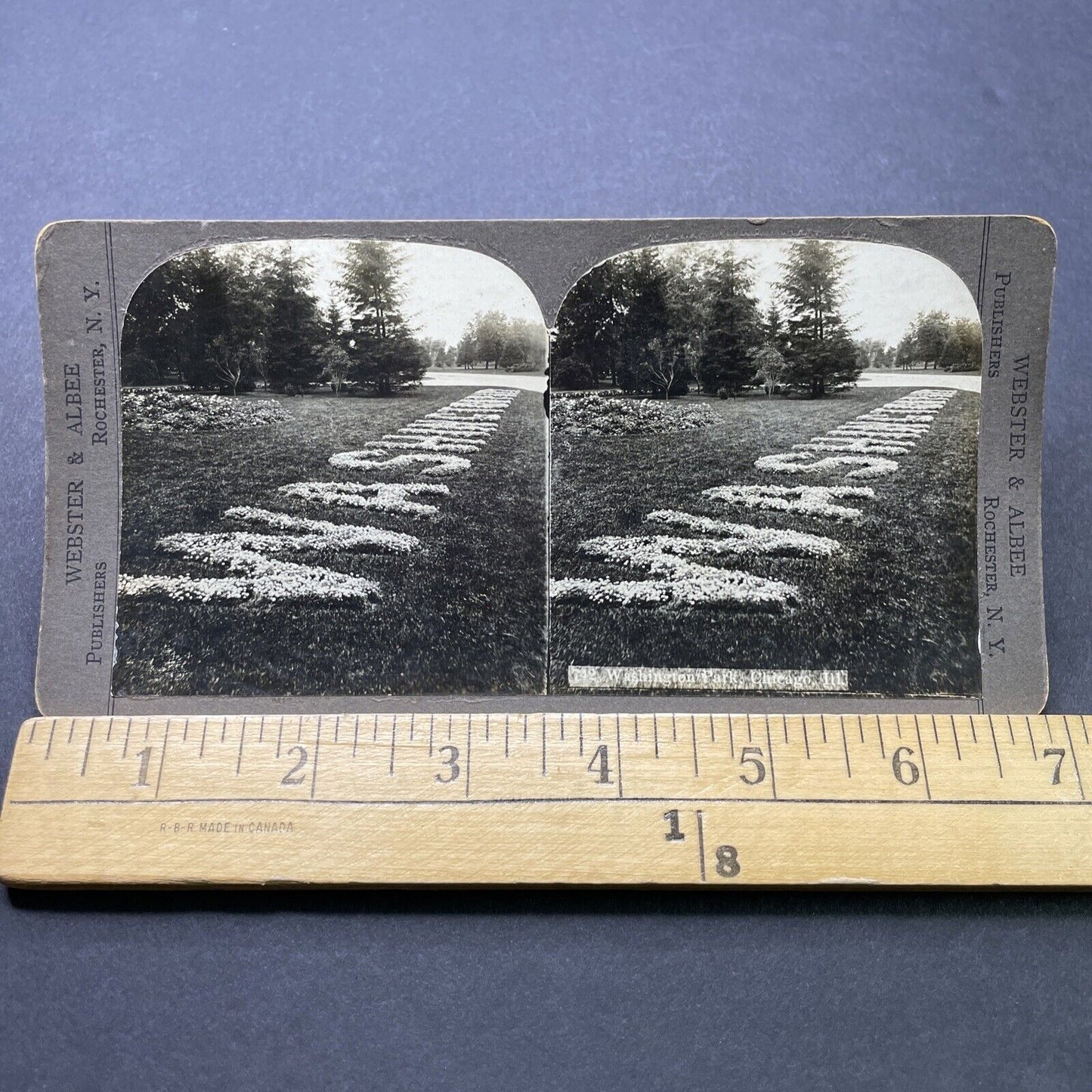 Antique 1906 Washington Park Chicago Illinois Stereoview Photo Card P2454