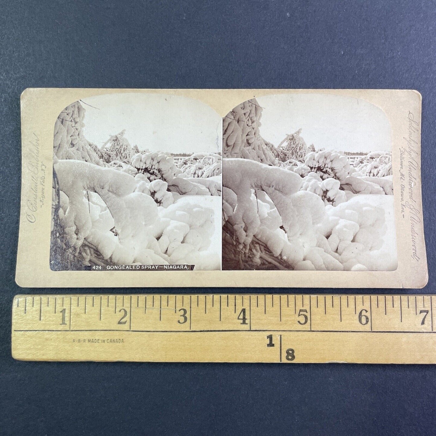 Frozen Island Forest Niagara Falls Stereoview Charles Bierstadt c1880 Y2478