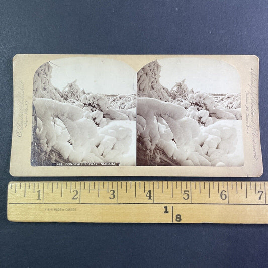 Frozen Island Forest Niagara Falls Stereoview Charles Bierstadt c1880 Y2478